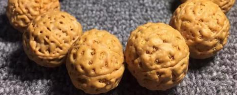 金刚菩提怎么变红